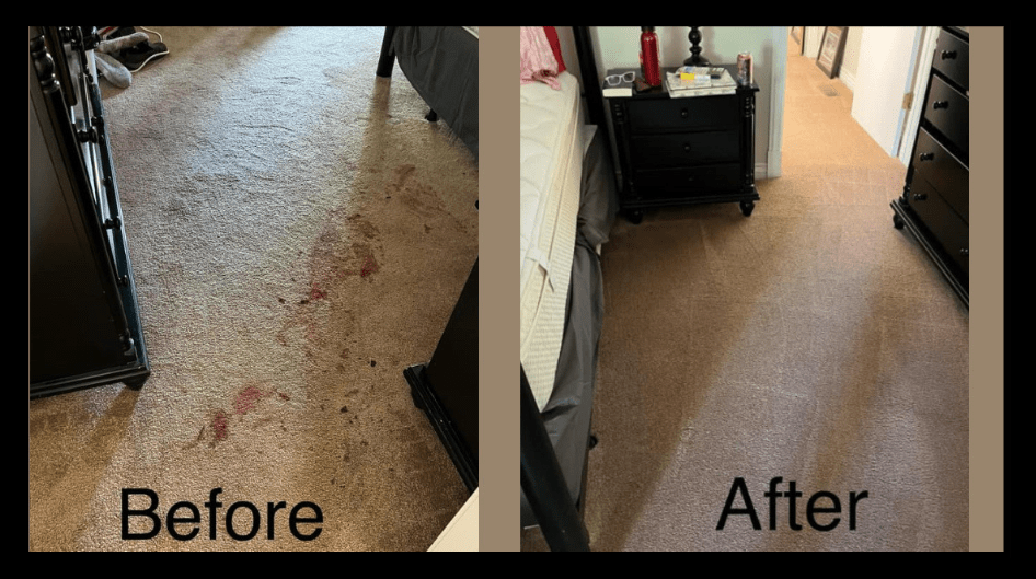 Before: trauma scene with blood stained carpets. After: beautifully clean carpet free of stains.